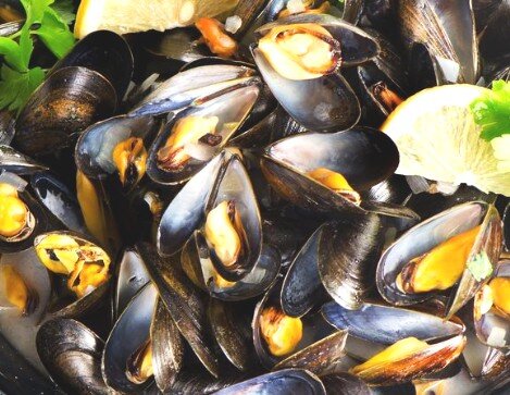 Mejillones a la marinera en Palamós Mejillones a la marinera en Palamós